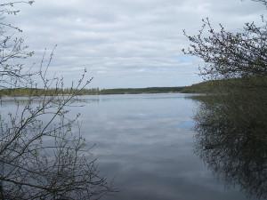 СестрорецкГраница5