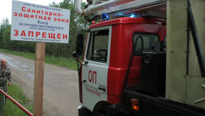 392521141
