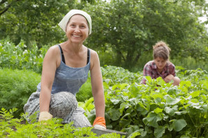 familyfarming_86776852