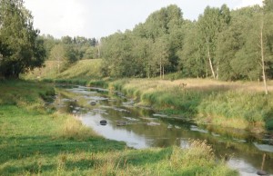 mga-river.full