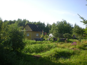 DSCN1097