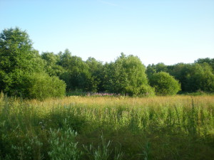 DSCN1118