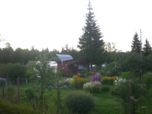 DSCN1129