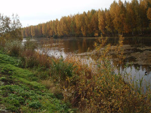 Юнтоловский-заповедник