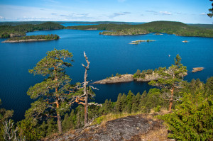 shutterstock_241498