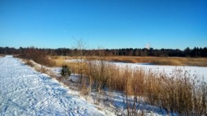 IMG_2017-02-06_140603_HDR