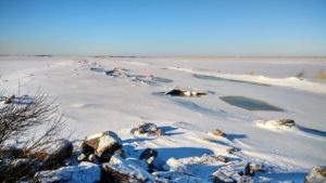 IMG_2017-02-06_141946_HDR