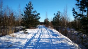 IMG_2017-02-06_142442_HDR