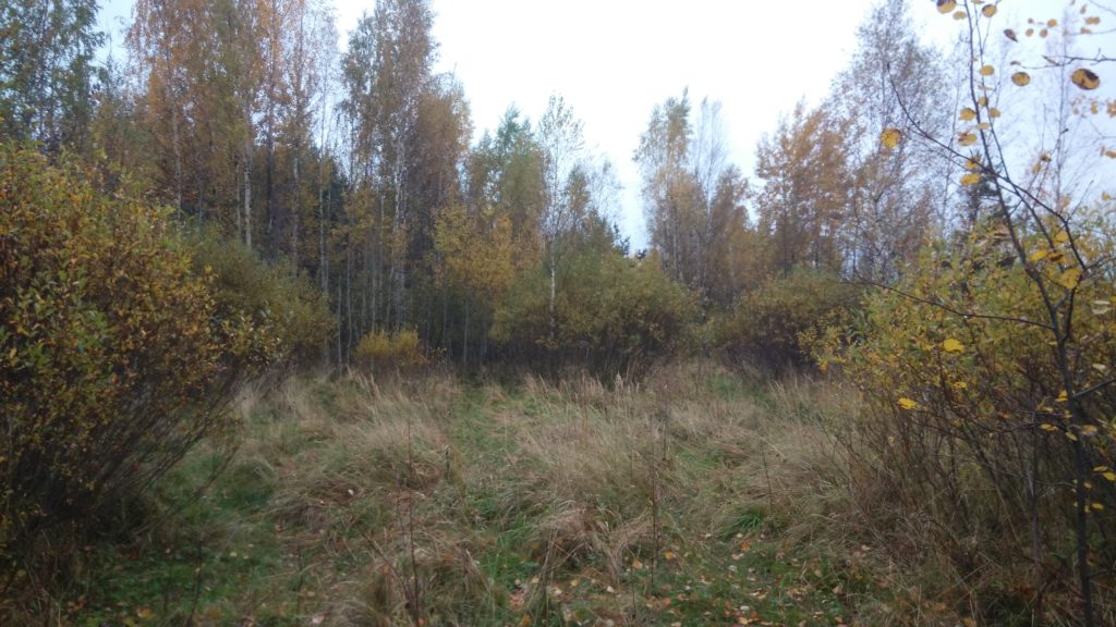 IMG_2017-10-08_170543_1